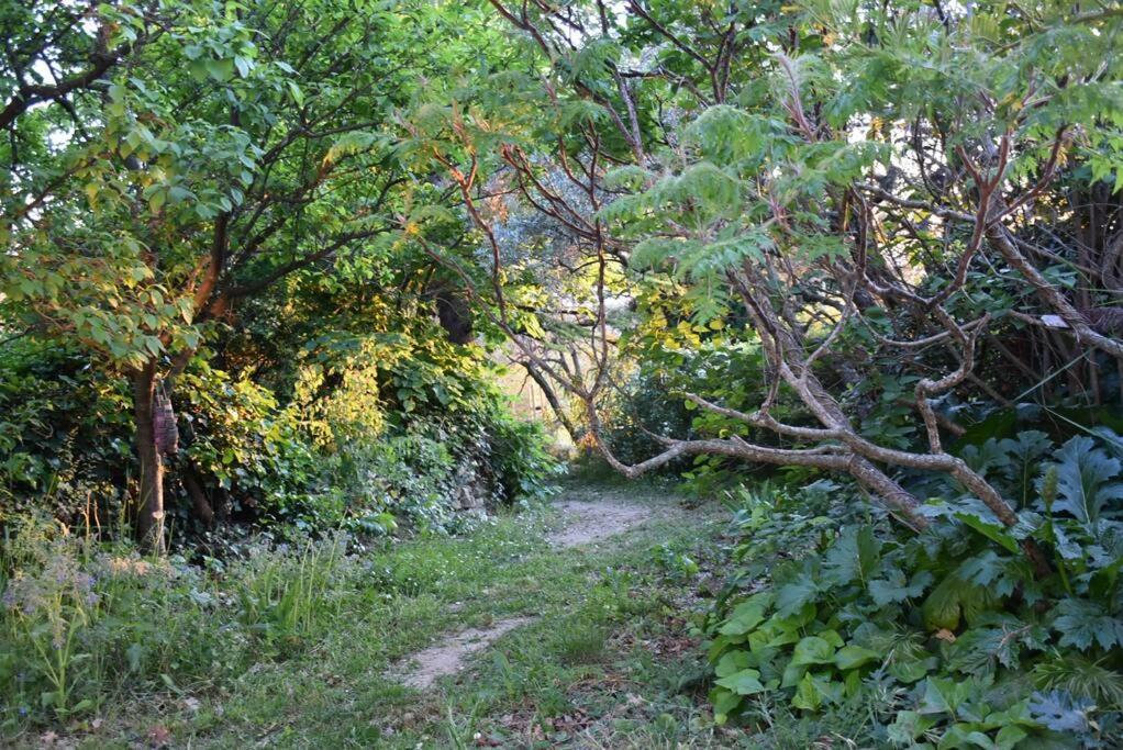 La Petite Maison Des Artistes Séguret Exterior foto